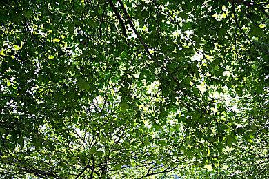 《霍格沃茨之遗》首个补丁将来 PS5补丁延期