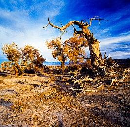 《魔兽世界：巫妖王之怒》经典服9月26日上线