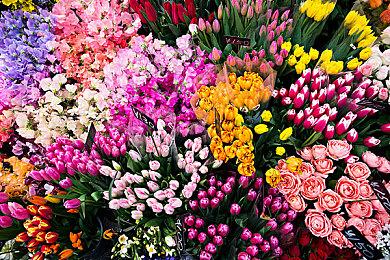 免费联机！新国风生存建造游戏《无径之林》试玩版上线